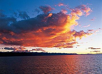 《涅克罗蒙达：赏金猎人》推出“帮派战争装扮捆绑包”和免费的“地狱猎犬包”