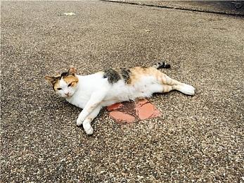 VR游戏《夏日假期》上线Steam 3月推出支持中文