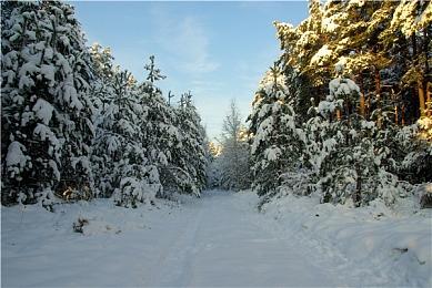 索尼Haven工作室正大力投资研发云创新 和PS5架构师深度合作