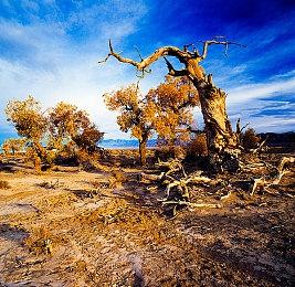 《荒野大镖客2》剧情＆主要角色4K材质包分享